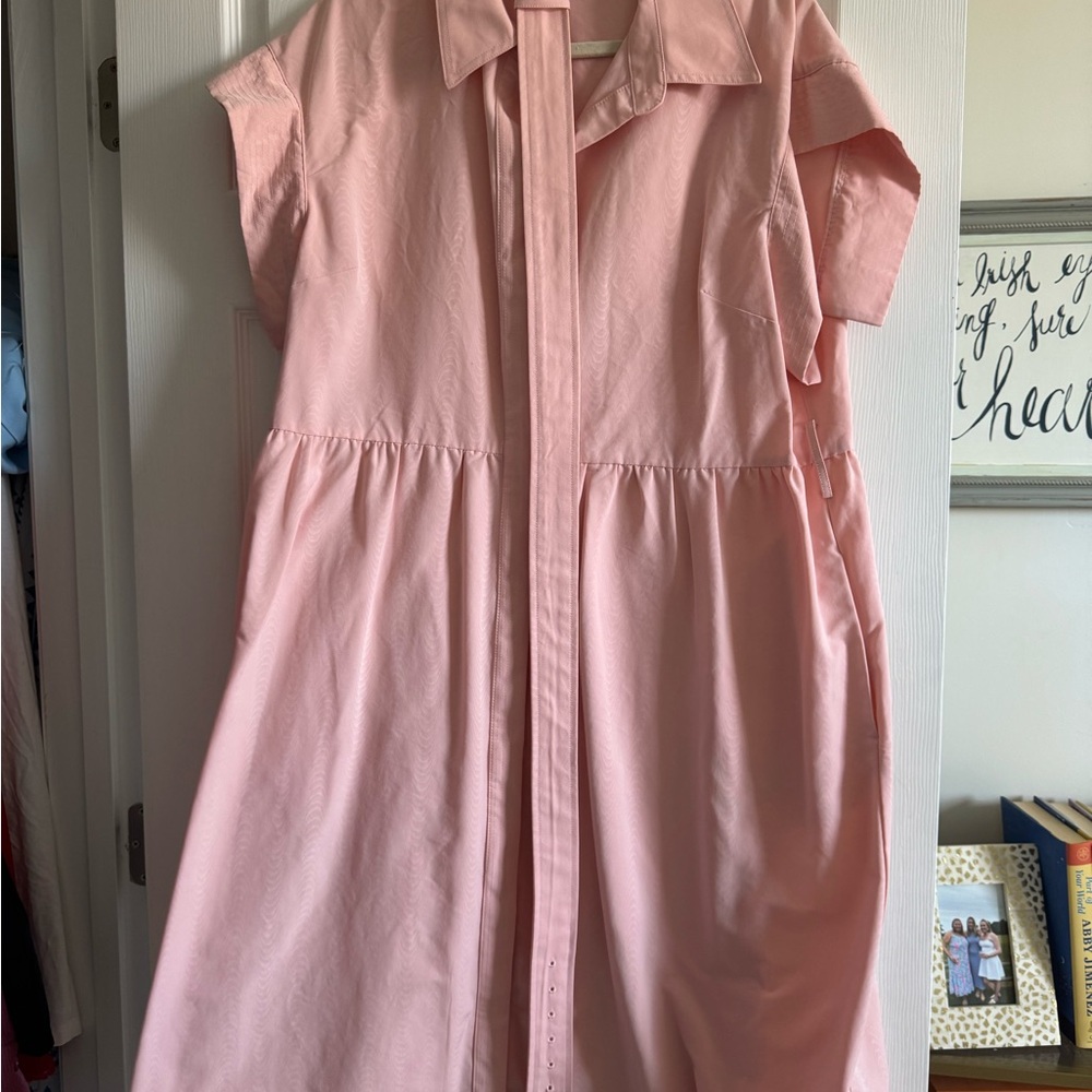 NWT TUCKERNUCK Dress